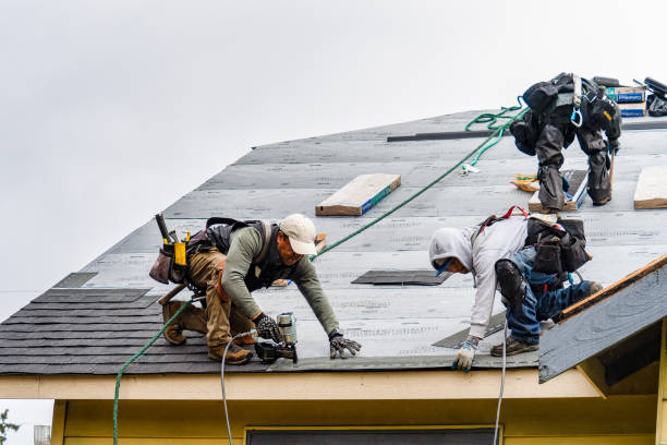 Professional Roof Inspection technician working in Dumont, NJ